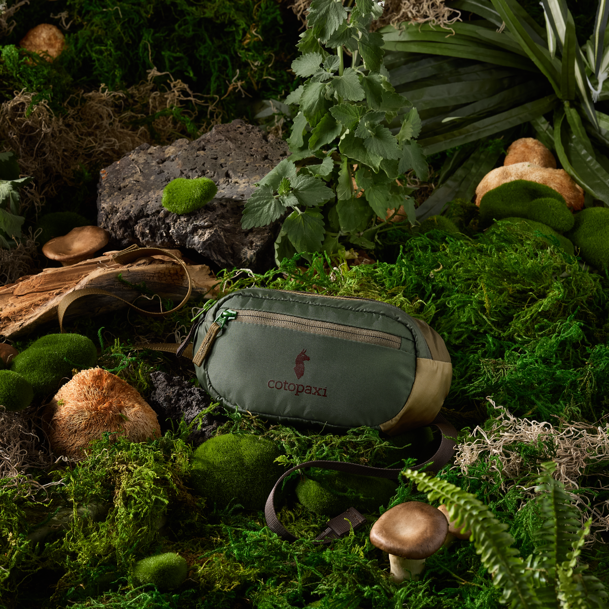 Kapai 1.5L Hip Pack - Del Día Earth