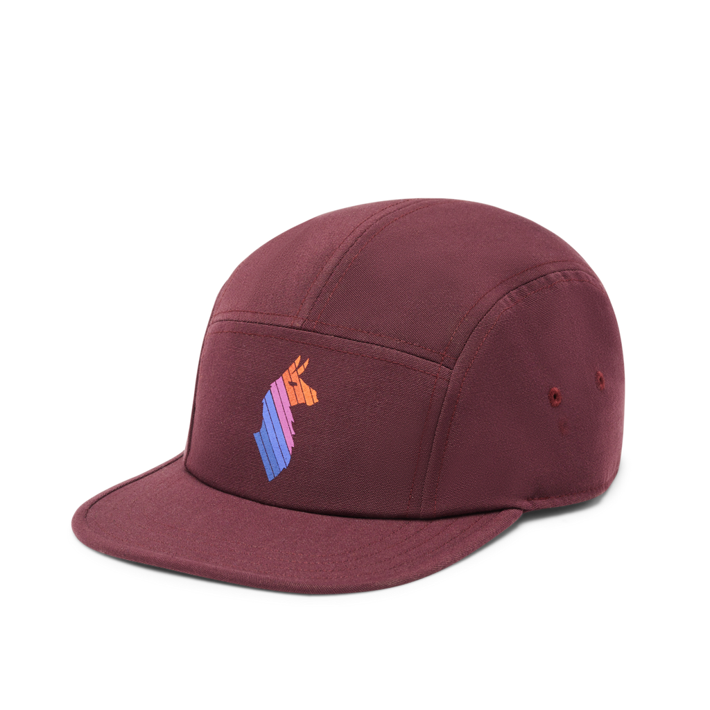 Llama Stripes 5-Panel Hat