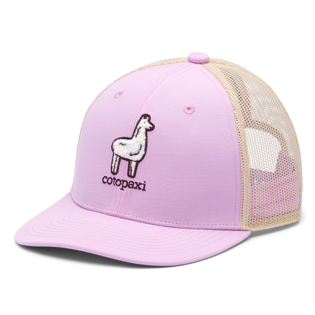 Tiny Llama Trucker Hat - Kids'